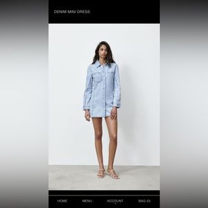 Zara Denim Mini Dress